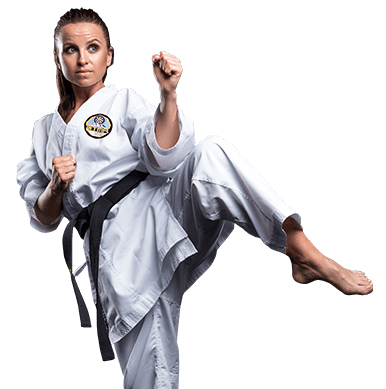 Adult Taekwondo Taekwondo Fitness Karate